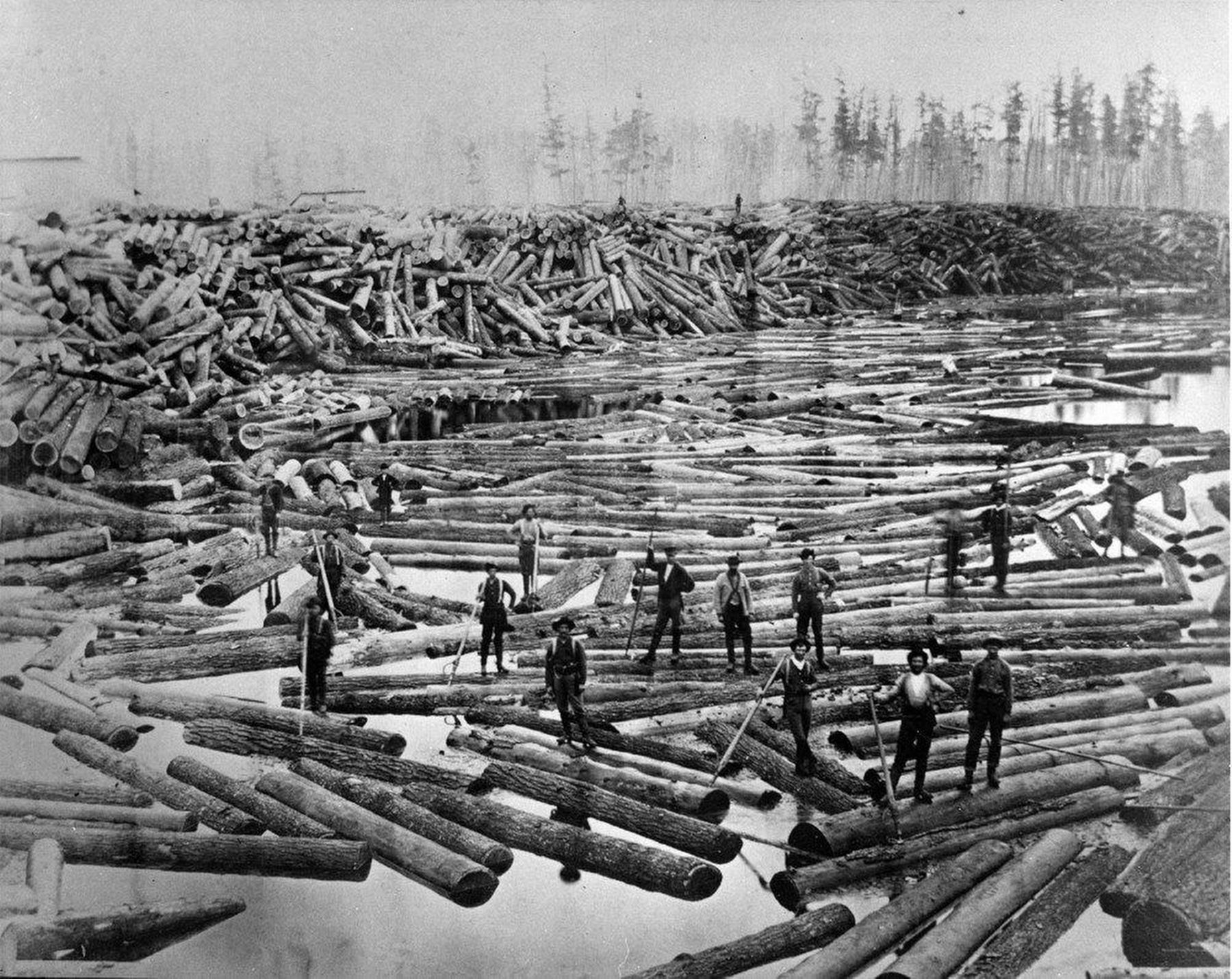 A Muskegon River Log Drive image. Click for full size.