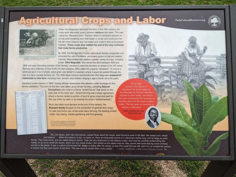 Agricultural Crops and Labor Marker image. Click for full size.