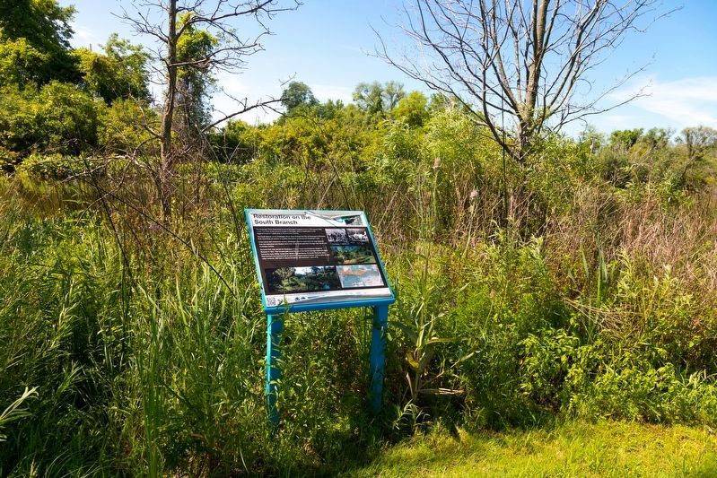 Restoration on the South Branch Marker image. Click for full size.