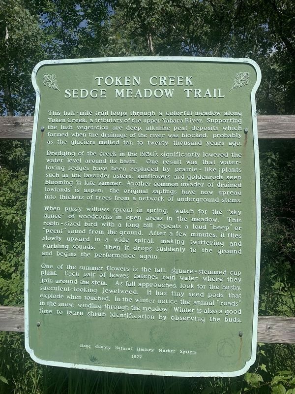 Token Creek Sedge Meadow Trail Marker image. Click for full size.