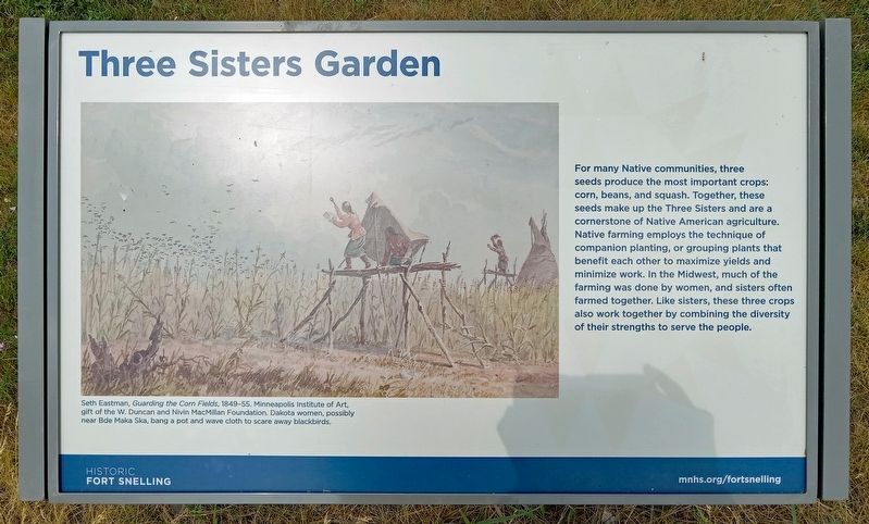 Three Sisters Garden Marker image. Click for full size.