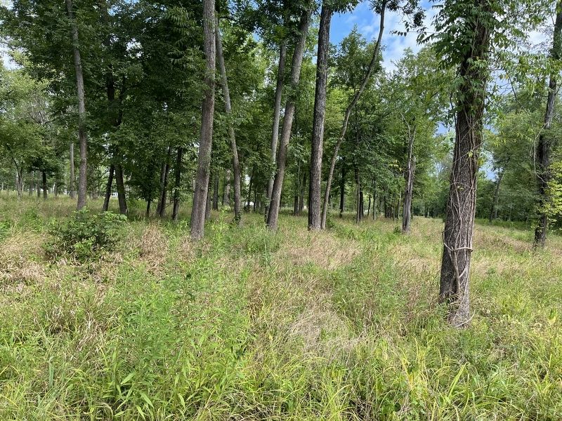 Area where Smith House stood image. Click for full size.