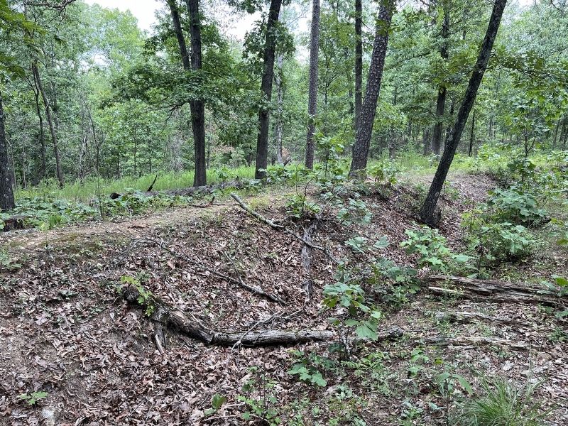 Portion of the wall of Fort Barnesville. Click for full size. Portion of the wall of Fort Barnesville image. Click for full size.