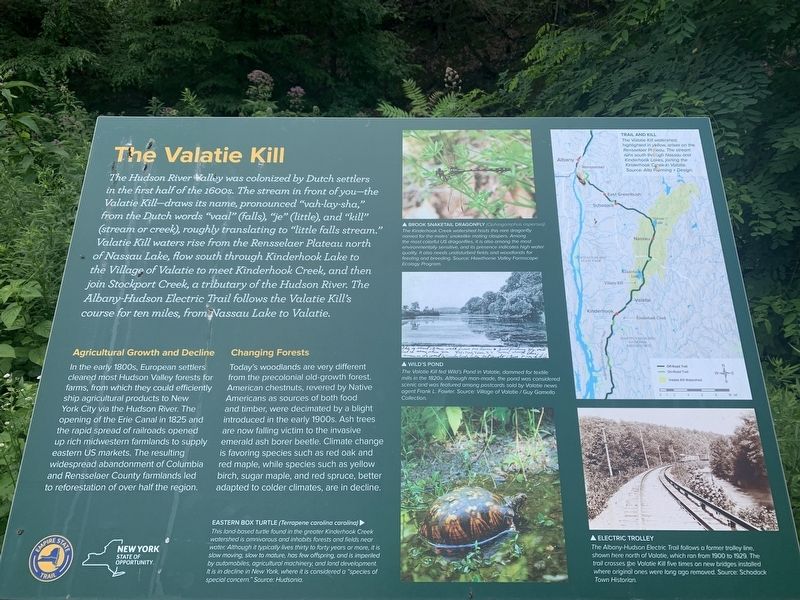 The Valatie Kill Marker image. Click for full size.