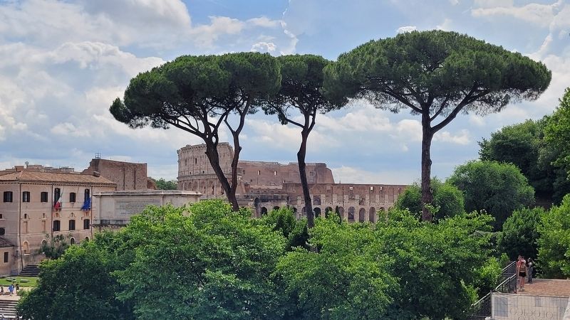 The view of the colosseum from the upper terrace near the marker image. Click for full size.