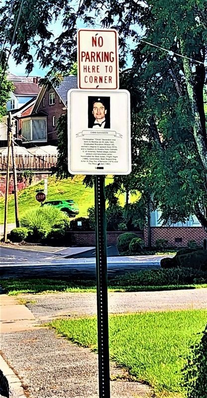 Sarandon marker and pole image. Click for full size.