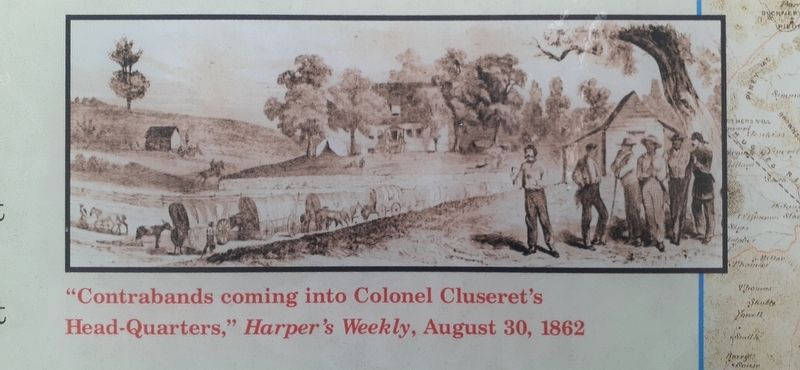"Contrabands coming into Colonel Cluseret's Head-Quarters," image. Click for full size.