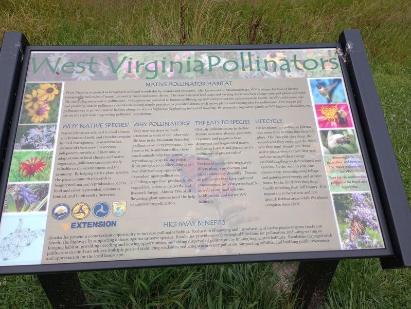 West Virginia Pollinators Marker image. Click for full size.