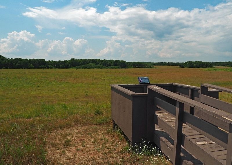 Bringing Back the Prairie Marker at the prairie overlook in Wild River State Park image. Click for full size.