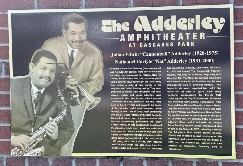 Adderley Amphitheater Marker image. Click for full size.