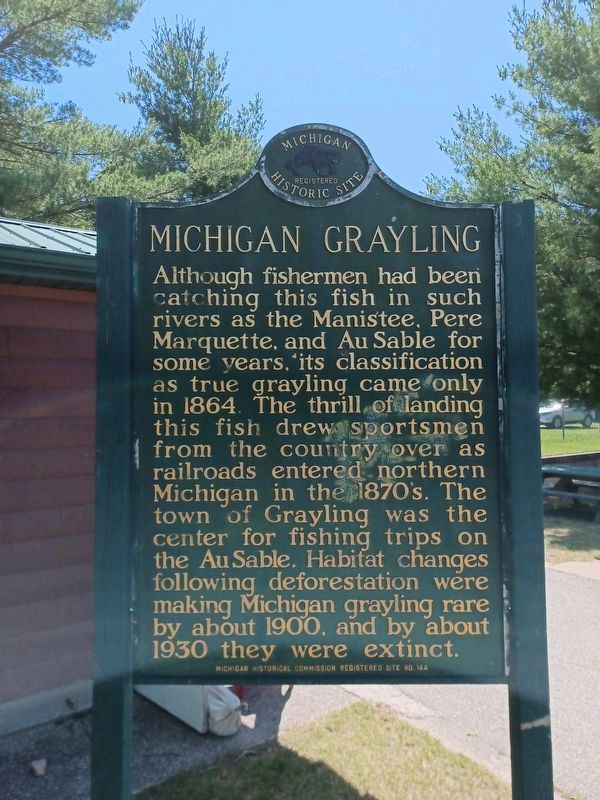 Michigan Grayling Marker, Side Two image. Click for full size.