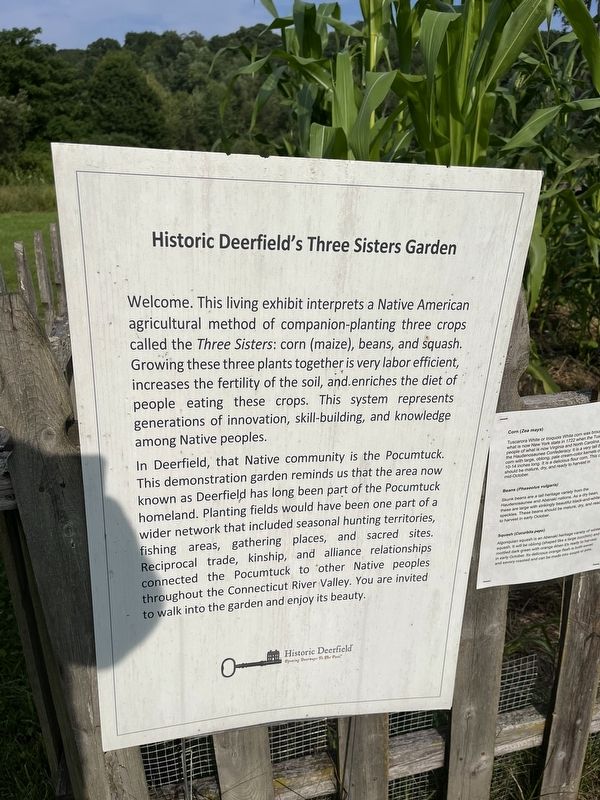 Historic Deerfield's Three Sisters Garden Marker image. Click for full size.