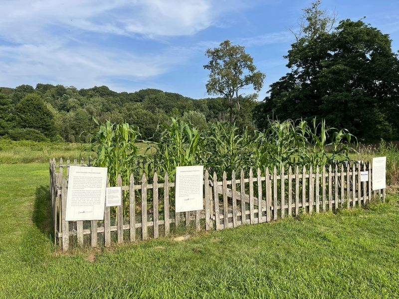 Historic Deerfield's Three Sisters Garden Marker image. Click for full size.