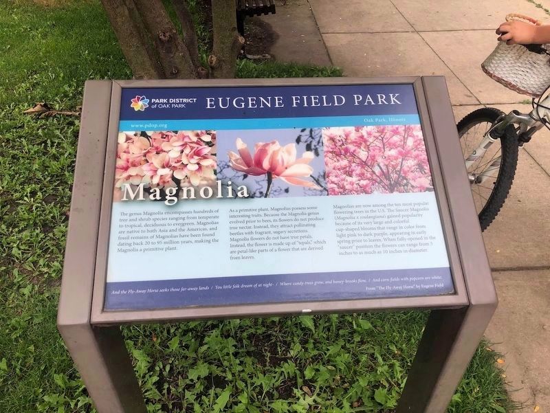 Magnolia sign at Field Park image. Click for full size.
