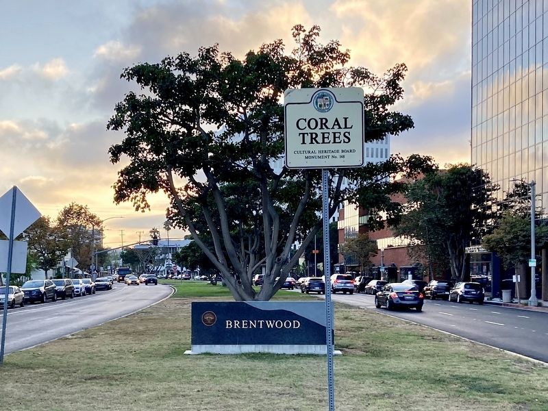 Coral Trees Marker image. Click for full size.