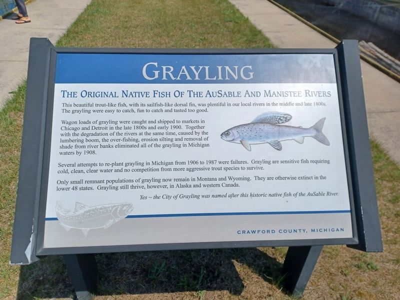 Grayling Marker image. Click for full size.