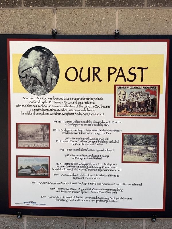 Our Past Marker image. Click for full size.