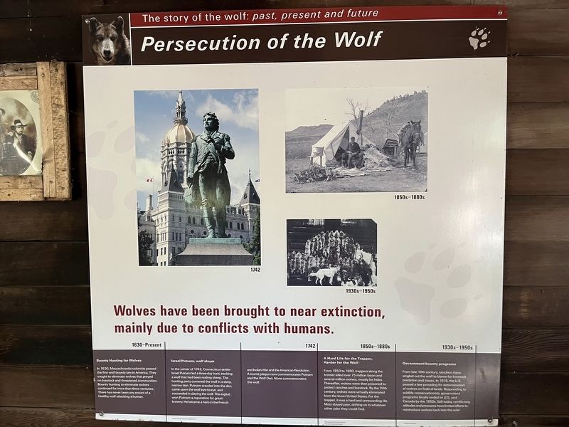 Persecution of the Wolf Marker image. Click for full size.