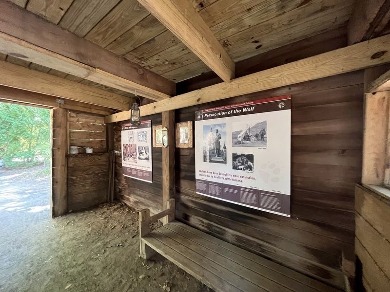 Persecution of the Wolf Marker image. Click for full size.
