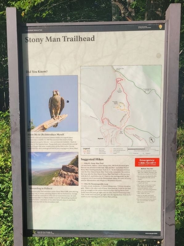 Stony Man Trailhead Marker image. Click for full size.