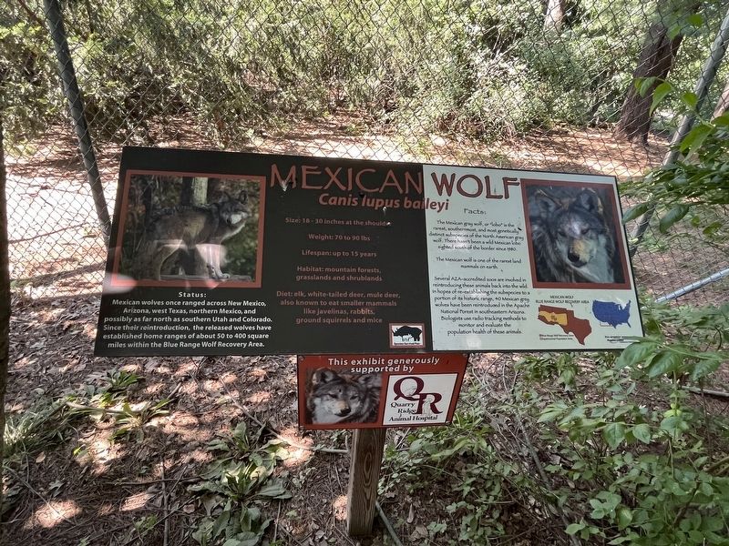 Mexican Wolf Marker image. Click for full size.