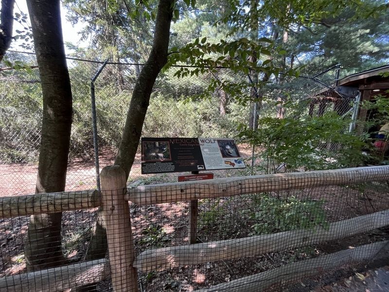 Mexican Wolf Marker. Click for full size. Mexican Wolf Marker image. Click for full size.