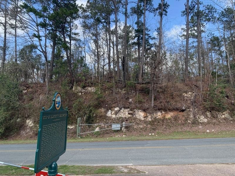 Site of Ellicott's Observatory Marker. Click for full size. Site of Ellicott's Observatory Marker image. Click for full size.