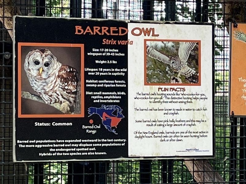 Barred Owl Marker image. Click for full size.