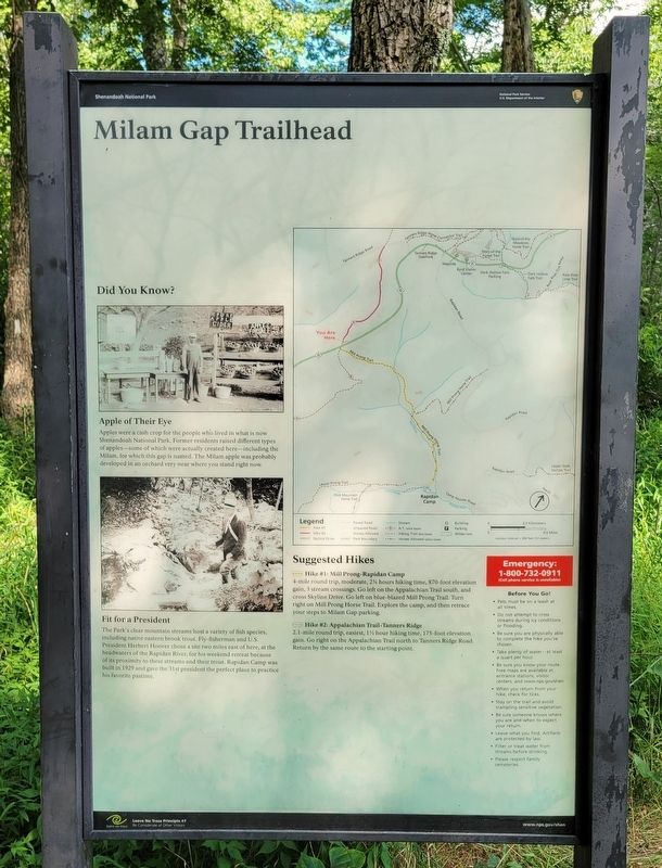 Milam Gap Trailhead Marker image. Click for full size.