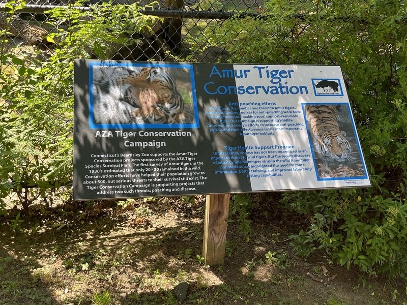 Amur Tiger Conservation Marker image. Click for full size.