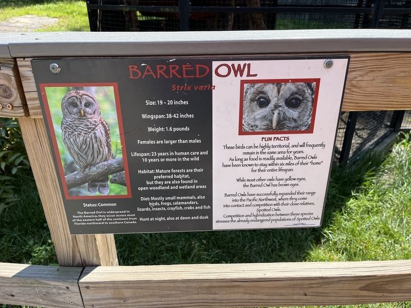 Barred Owl Marker image. Click for full size.