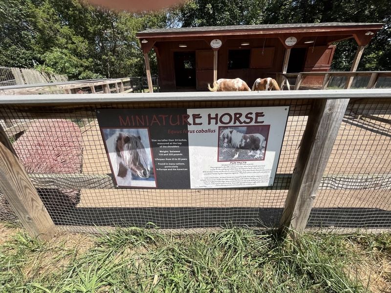 Miniature Horse Marker. Click for full size. Miniature Horse Marker image. Click for full size.