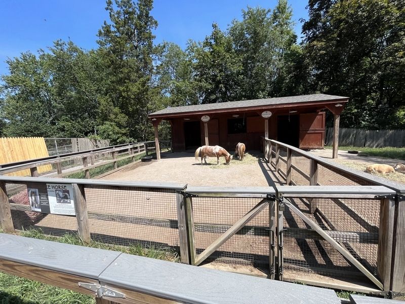 Miniature Horse Marker. Click for full size. Miniature Horse Marker image. Click for full size.