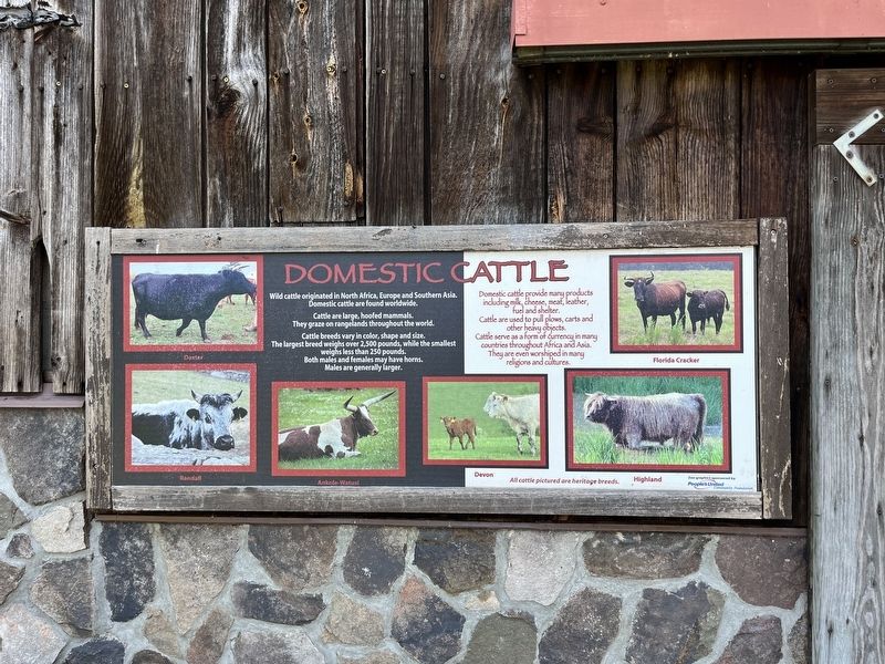 Domestic Cattle Marker image. Click for full size.