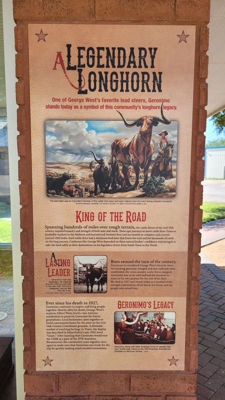 A Legendary Longhorn Marker image. Click for full size.