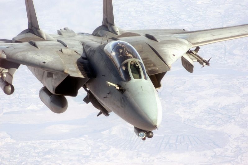 U.S. Navy F-14D Tomcat Fighter Jet image. Click for full size.