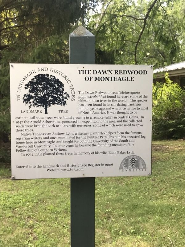 The Dawn Redwood of Monteagle Marker image. Click for full size.