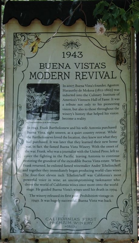 Buena Vistas Modern Revival Marker image. Click for full size.