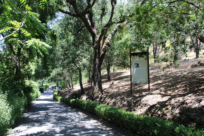 Buena Vista�s Modern Revival Marker image. Click for full size.