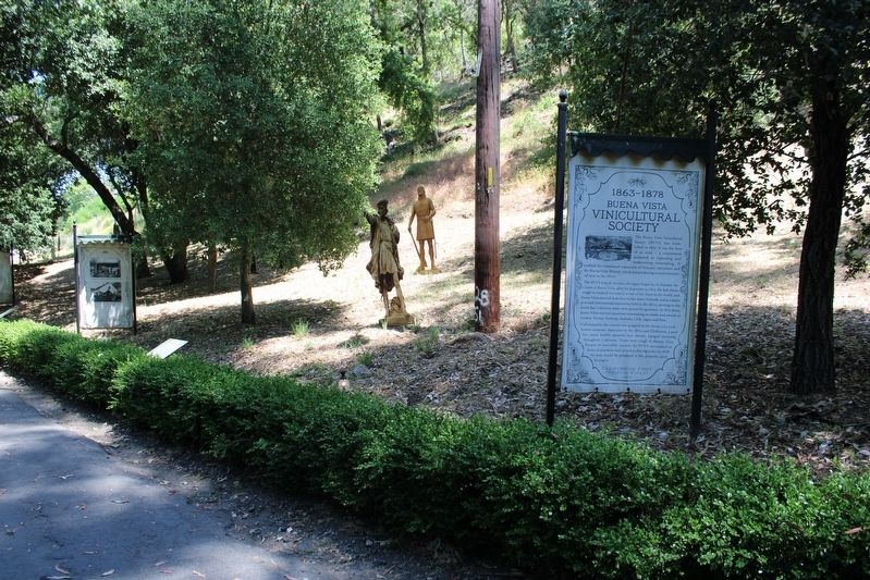 Buena Vista Vinicultural Society Marker. Click for full size. Buena Vista Vinicultural Society Marker image. Click for full size.