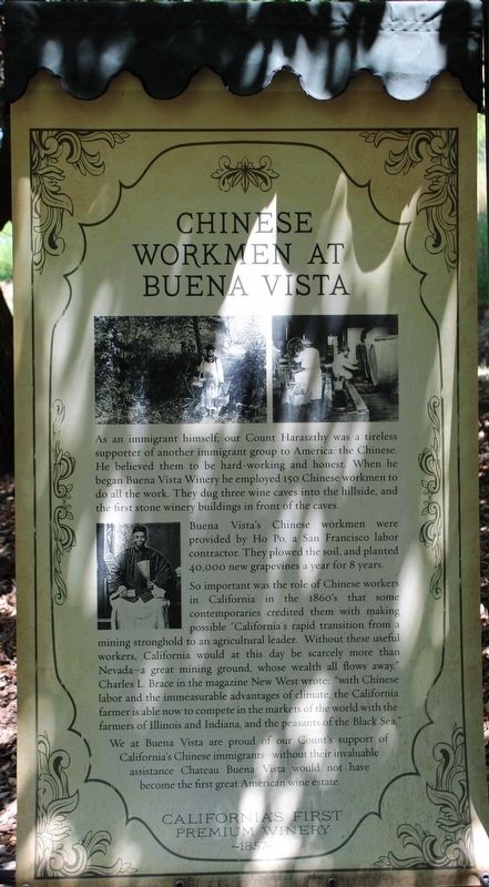 Chinese Workmen at Buena Vista Marker image. Click for full size.