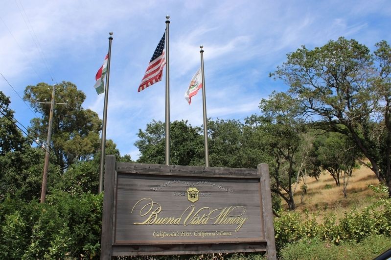 Buena Vista Entrance Sign image. Click for full size.
