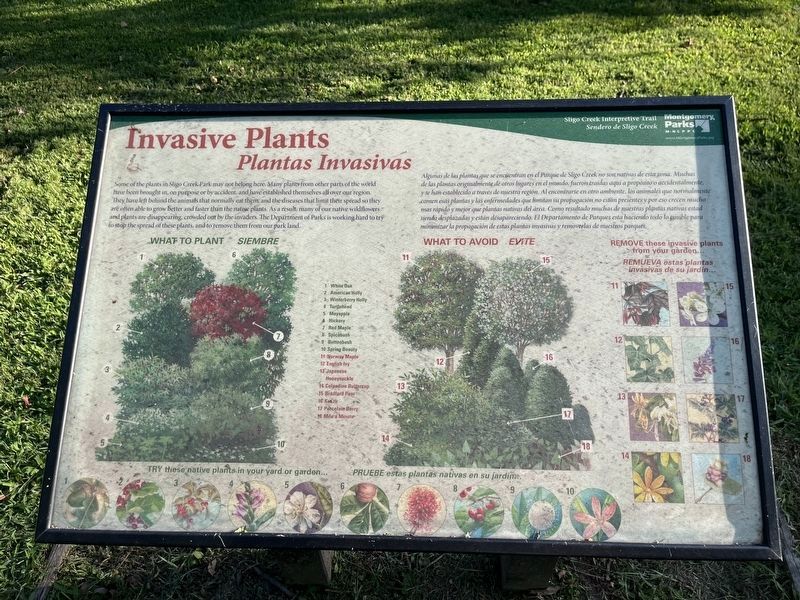 Invasive Plants / Plantas Invasivas Marker. Click for full size. Invasive Plants / Plantas Invasivas Marker image. Click for full size.