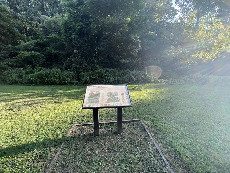Invasive Plants / Plantas Invasivas Marker. Click for full size. Invasive Plants / Plantas Invasivas Marker image. Click for full size.
