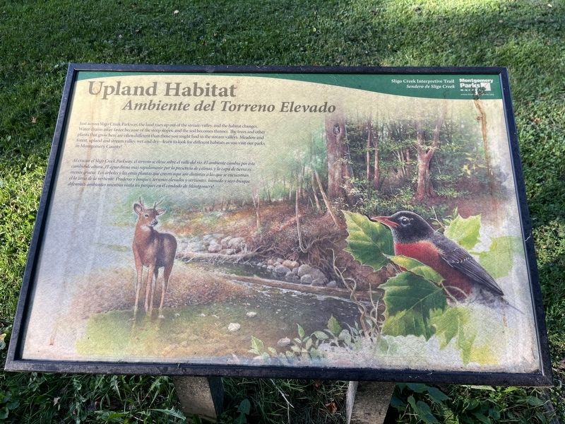 Upland Habitat / Ambiente del Torreno Elevado sign. Click for full size. Upland Habitat / Ambiente del Torreno Elevado sign image. Click for full size.