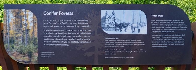 Conifer Forests Marker. Click for full size. Conifer Forests Marker image. Click for full size.