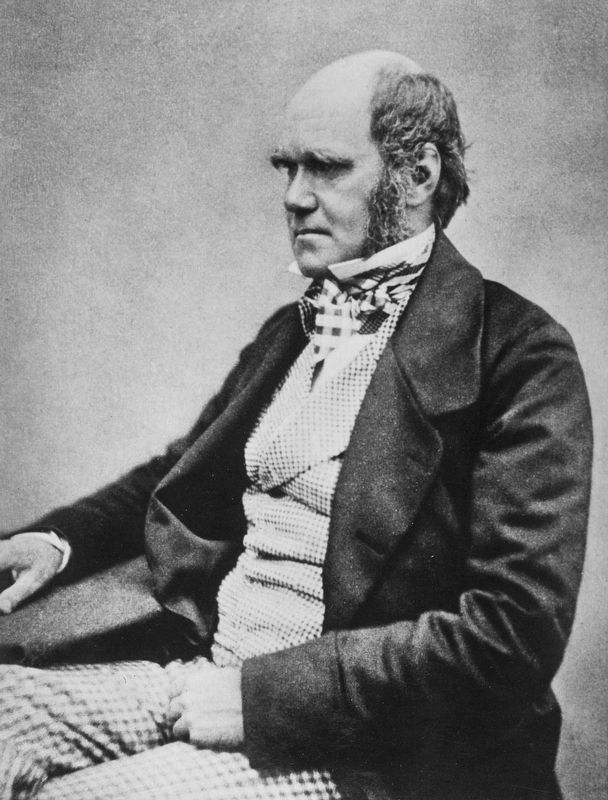 Charles Darwin image. Click for full size.