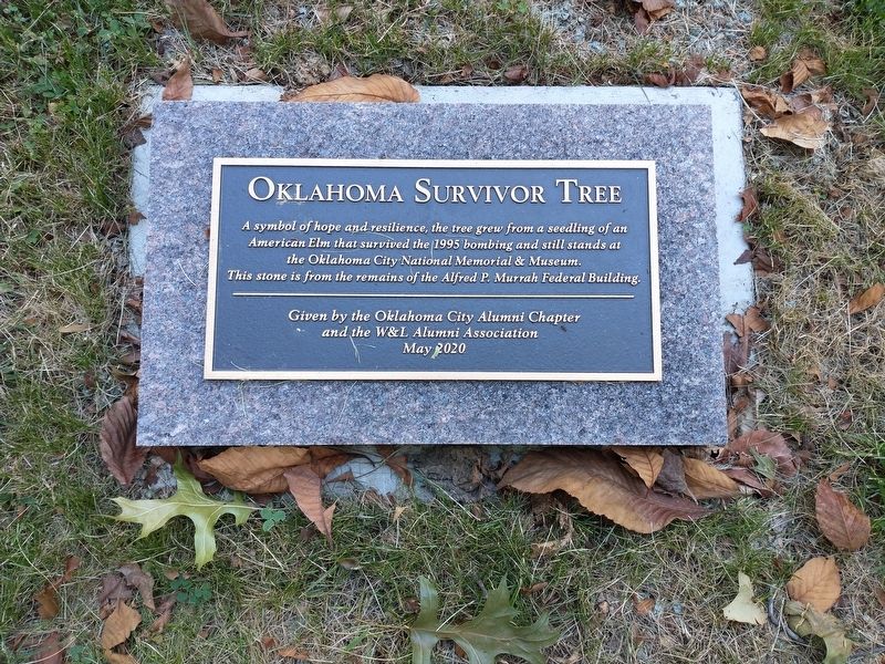 Oklahoma Survivor Tree Marker image. Click for full size.