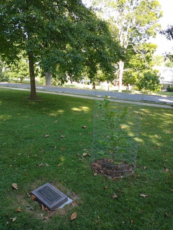Oklahoma Survivor Tree Marker image. Click for full size.