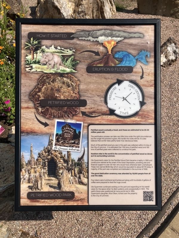 Petrified Wood Marker image. Click for full size.